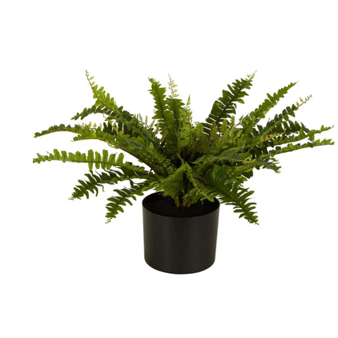 Boston Fern in Blk Pot- Artificial Plant F235
