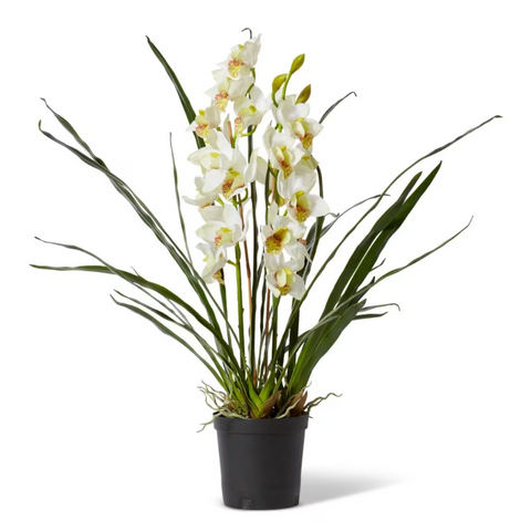Cymbidium Plant Potted - Artificial Plant