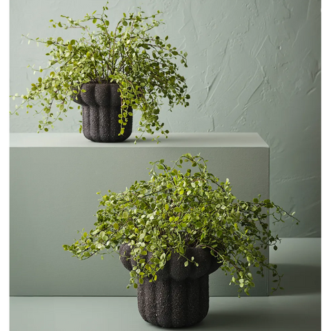 Maidenhair Vine Plant - Artificial Plant
