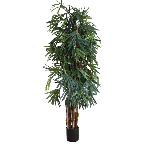 Raphis Palm Thin Leaf - Artificial Plant (200cm)