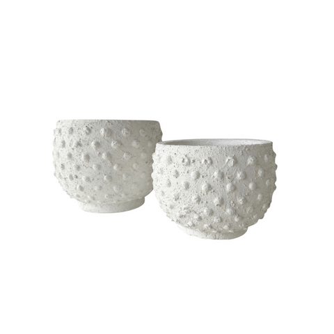 Sandy Spot Plant Pot