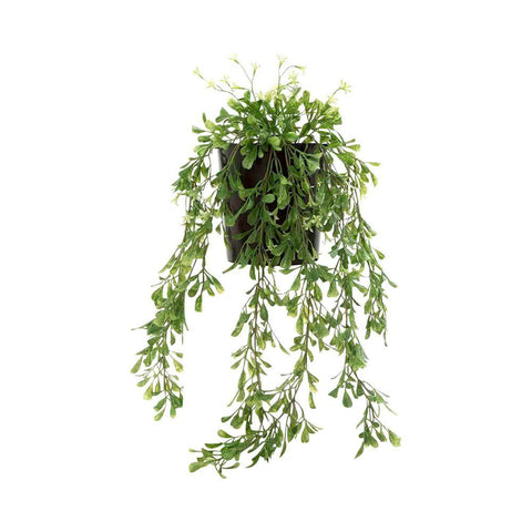 Boxwood Vine Hanging in Pot - Artificial Plant (74cm)