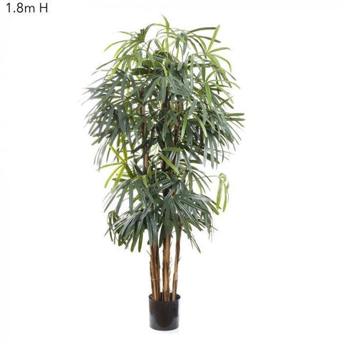 Raphis Palm Thin Leaf - Artificial Plant (180cm)
