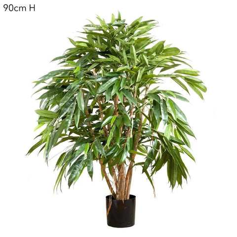 Royal Longfolia - Artificial Plant (90cm)