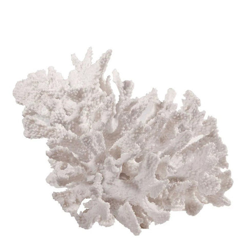 Rottnest Coral Sculpture White