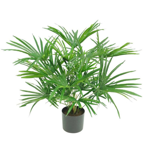Baby Fan Palm Potted Bush w/17 Leaves 45cm
