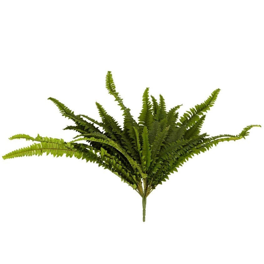 best-outdoor-furniture-Boston Fern Bush F237