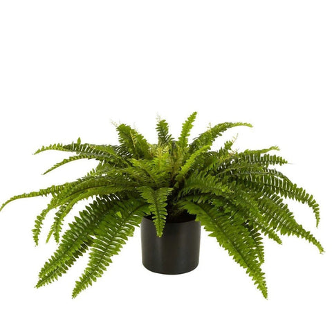 Boston Fern in Blk Pot- Artificial Plant F236