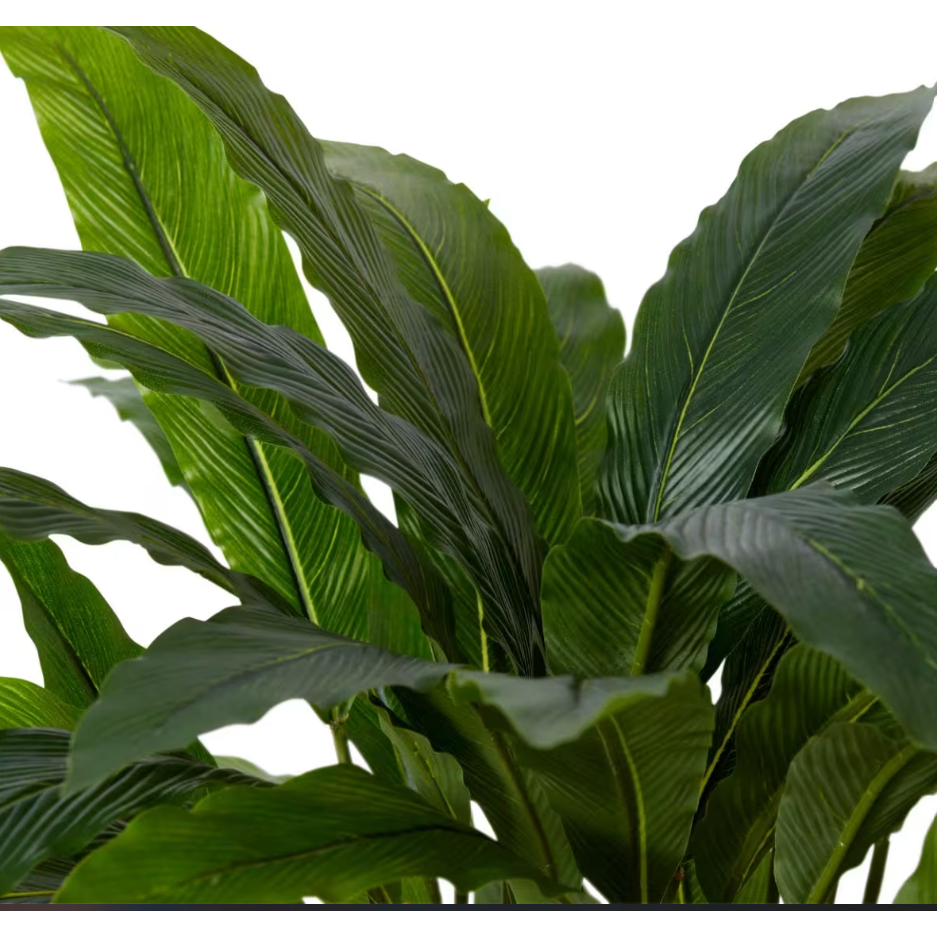 best-outdoor-furniture-Calathea Velvet Potted - Artificial Plant