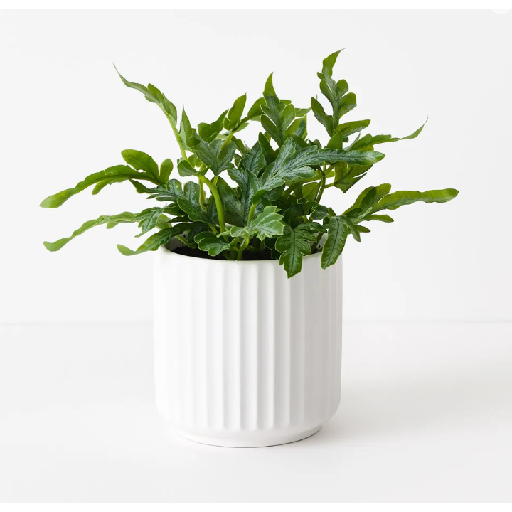 best-outdoor-furniture-Fern Kangaroo in Pot - Artificial Plant (20cm H)