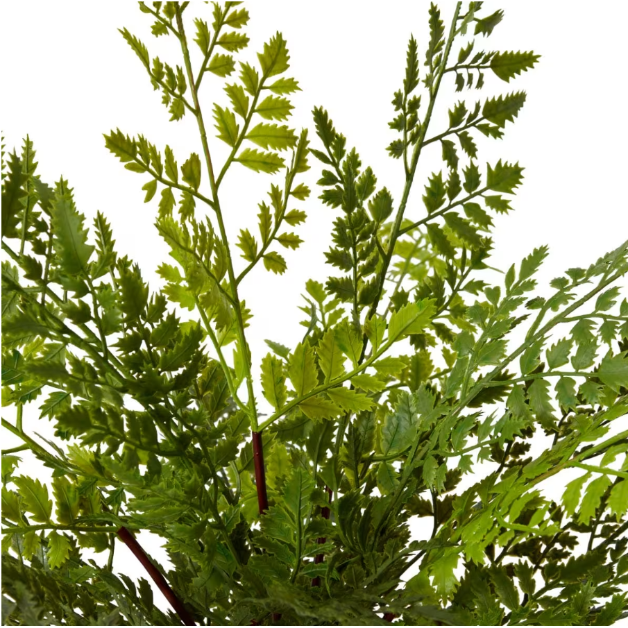 best-outdoor-furniture-Fern Tassel Green 36 x 36 x 46cm