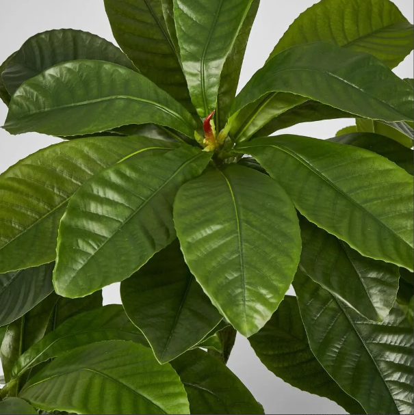 best-outdoor-furniture-Frangipani Tree 180cm - Artificial Plant