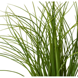 best-outdoor-furniture-Grass Tussock Plant Green 55x55x65