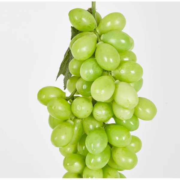 best-outdoor-furniture-Green Grape Bunch with 85 Grapes