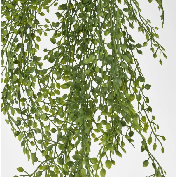 best-outdoor-furniture-Light Green Hanging Boxwood