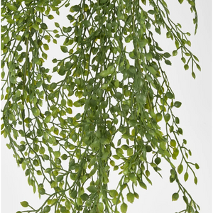 best-outdoor-furniture-Light Green Hanging Boxwood