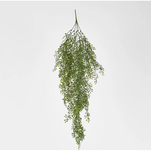 best-outdoor-furniture-Light Green Hanging Boxwood