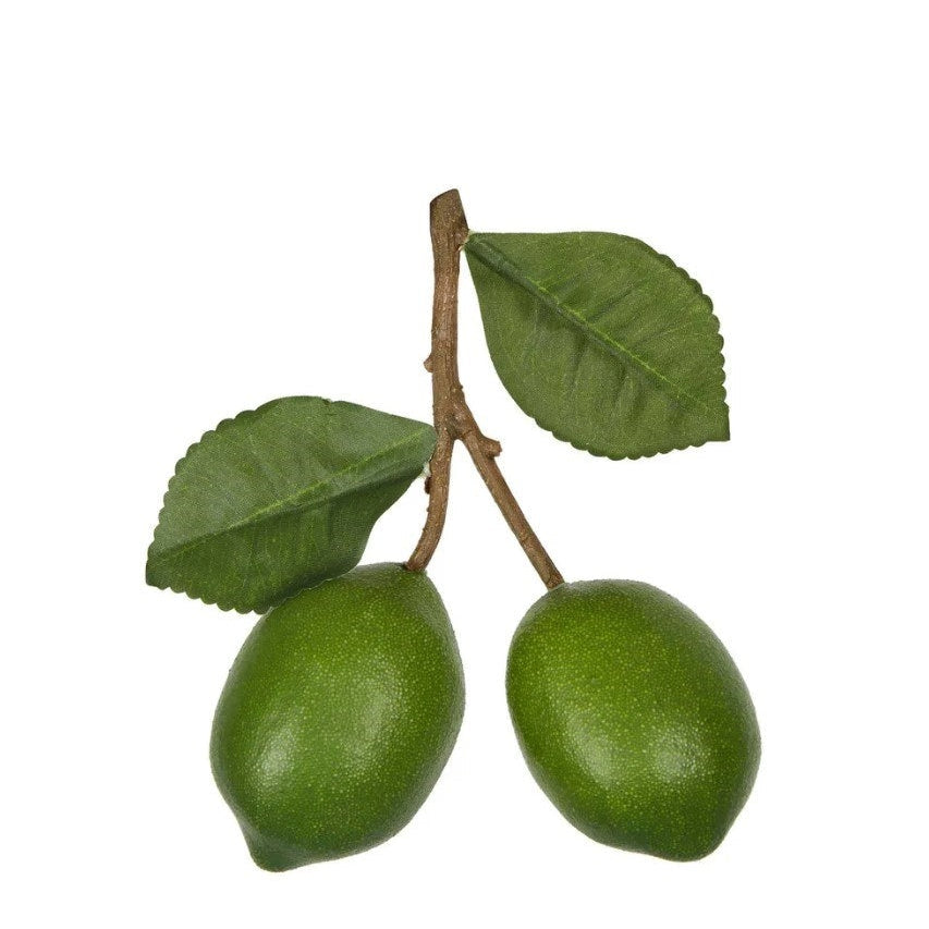 best-outdoor-furniture-Lime Branch Green