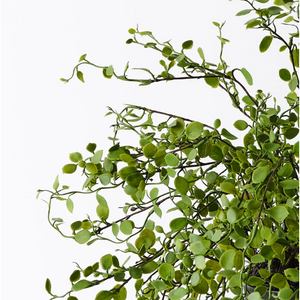 best-outdoor-furniture-Maidenhair Vine Plant - Artificial Plant
