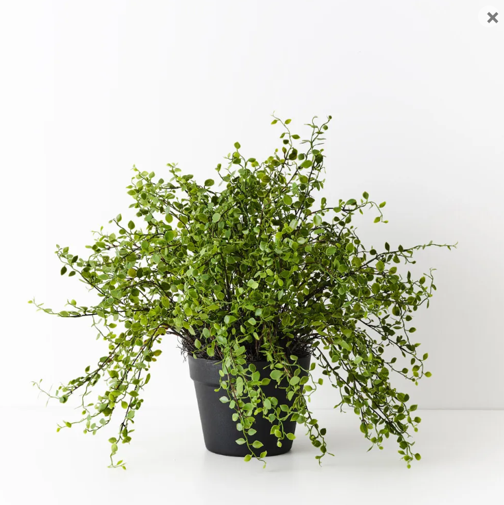 best-outdoor-furniture-Maidenhair Vine Plant - Artificial Plant