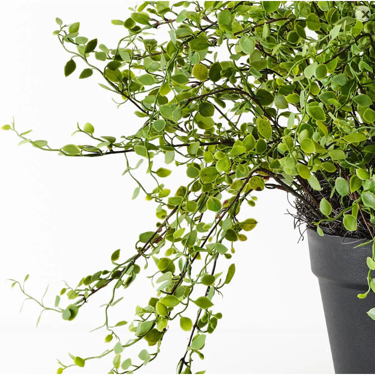 best-outdoor-furniture-Maidenhair Vine Plant - Artificial Plant