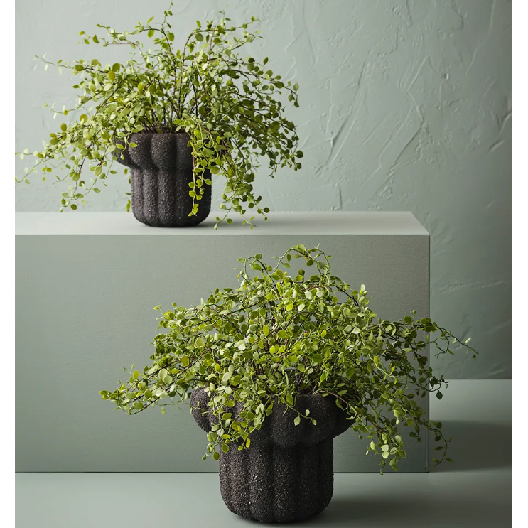 best-outdoor-furniture-Maidenhair Vine Plant - Artificial Plant