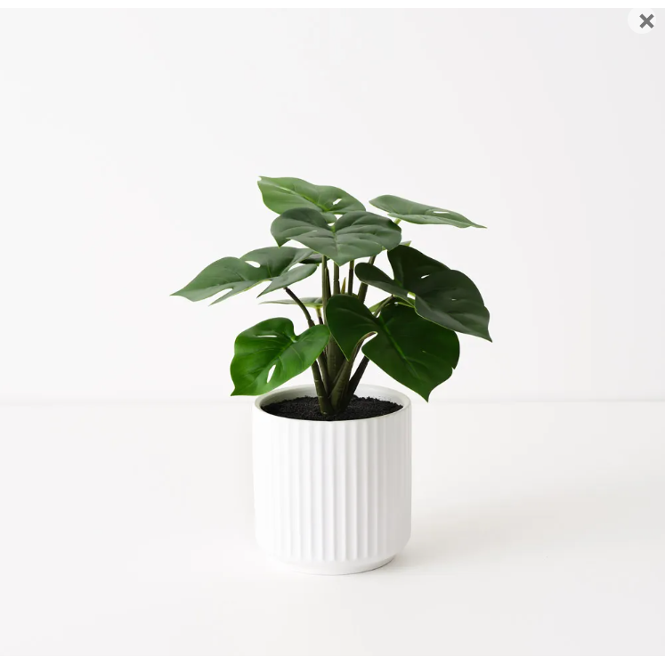 Monstera Plant in Pot - Artificial Plant (25cm H)