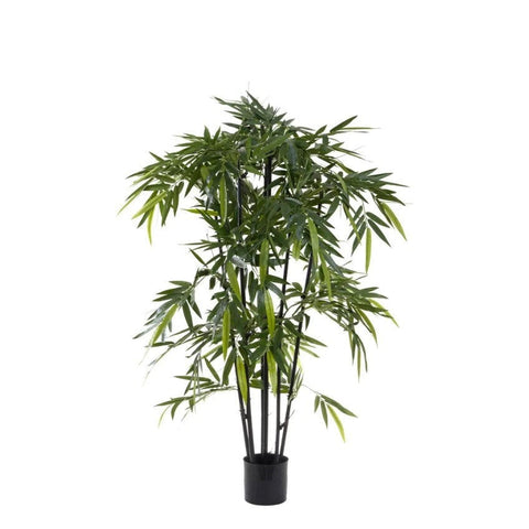 New Bamboo Tree Black Stem - Artificial Plant (150cm)