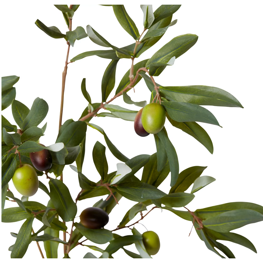 best-outdoor-furniture-Olive Rocca Spray Green 28x35x97cm