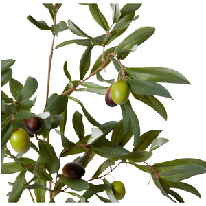 best-outdoor-furniture-Olive Rocca Spray Green 28x35x97cm