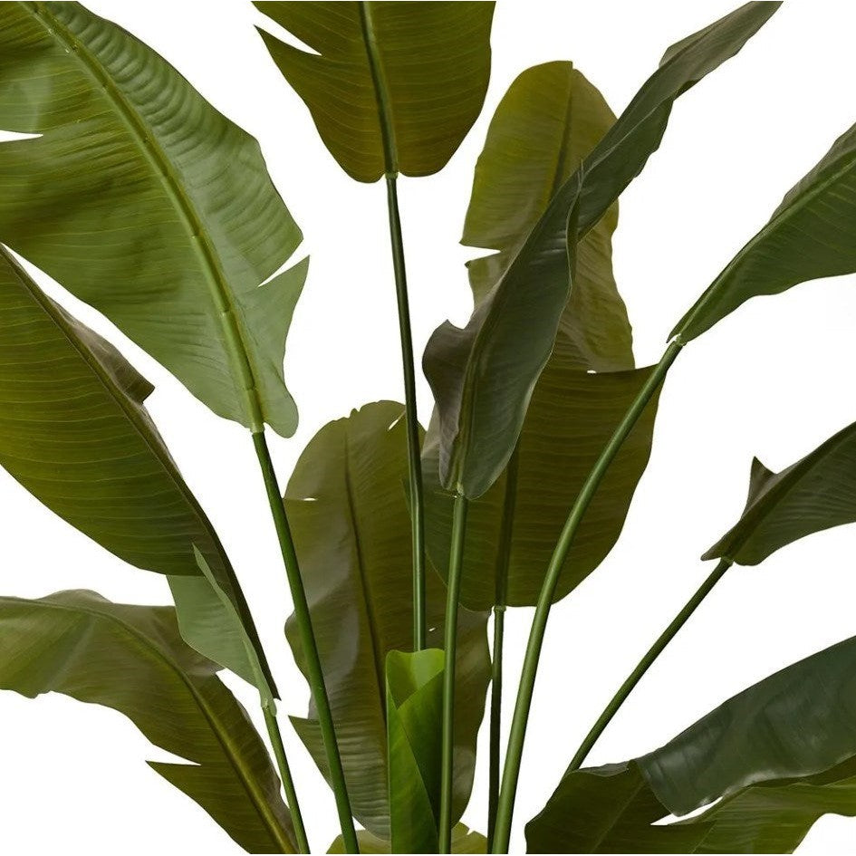 banana leaf palm plant Palm Banana Green - Artificial Plant (180cm)