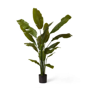 best-outdoor-furniture-Palm Banana Green - Artificial Plant (180cm)