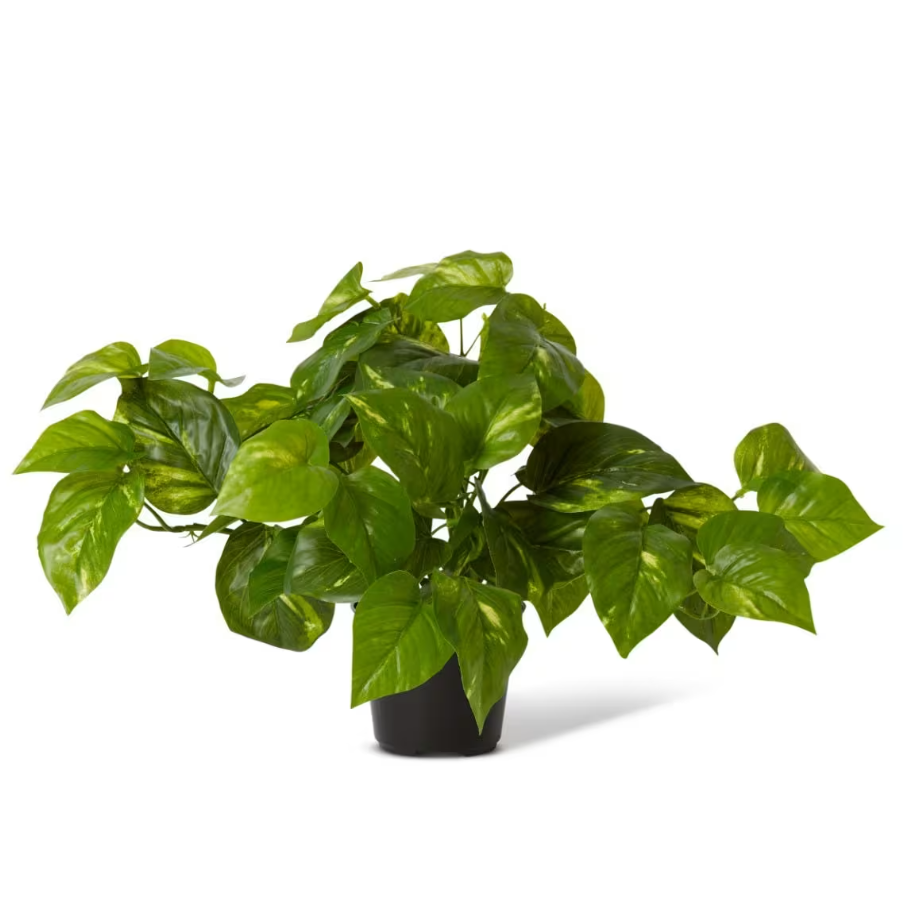 best-outdoor-furniture-Pothos Golden Potted - Artificial Plant