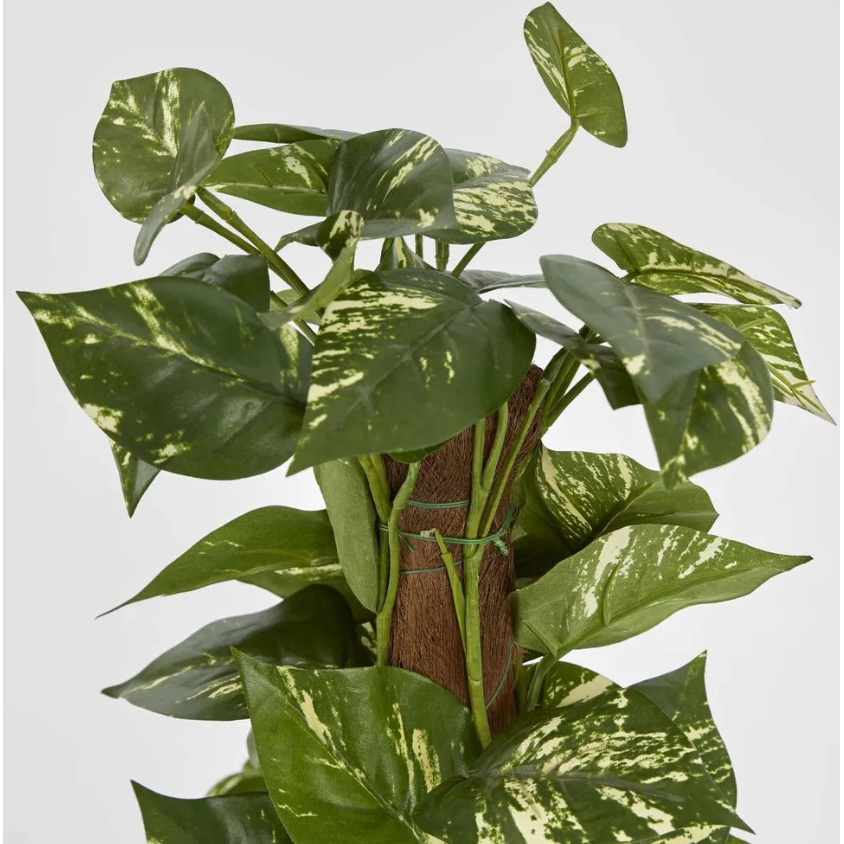 Pothos Vines on Coconut Pole - Artificial Plant (90cm)