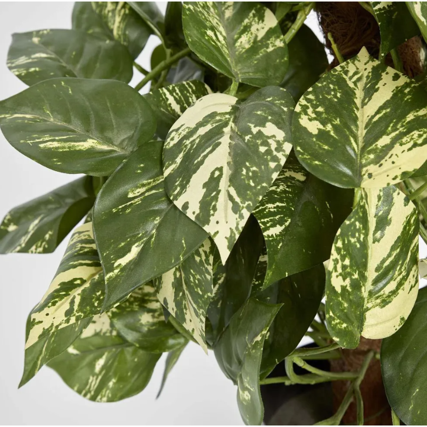 Pothos Vines on Coconut Pole - Artificial Plant (90cm)