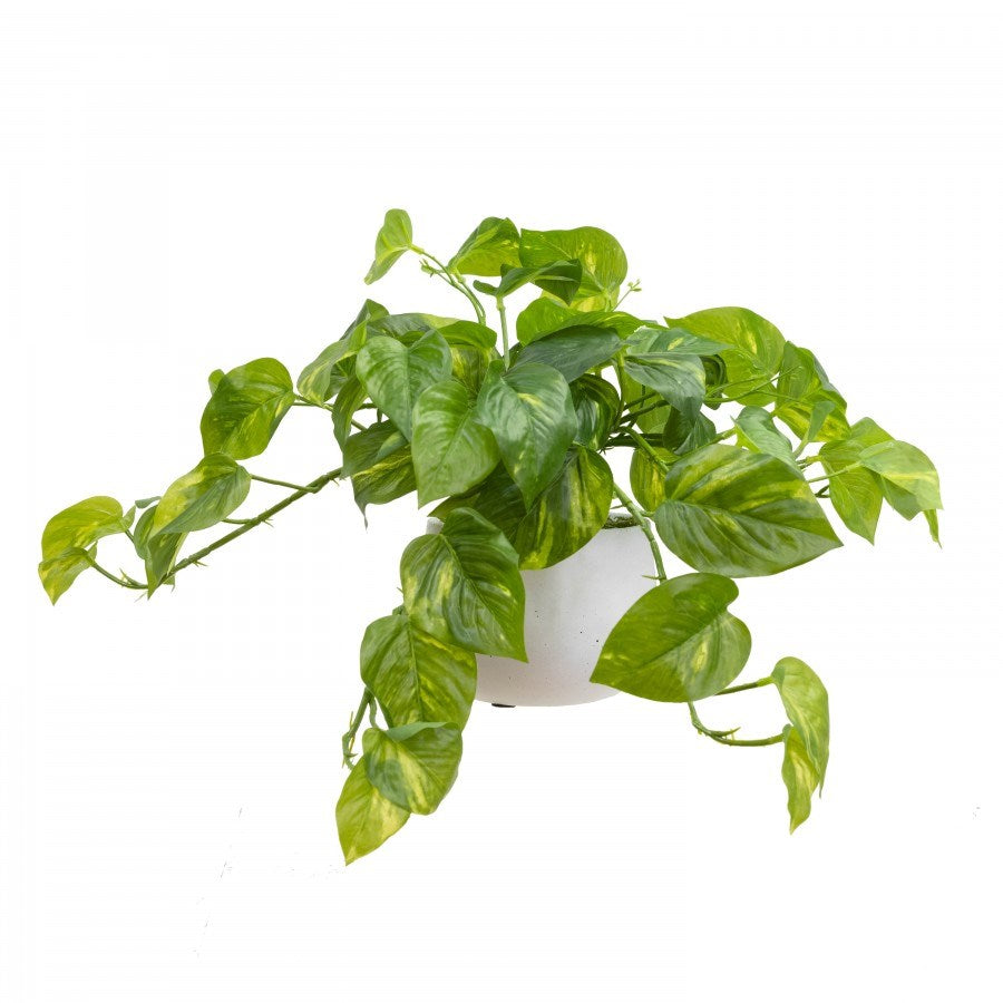 best-outdoor-furniture-Pothos in Pot 30cm - Artificial Plant