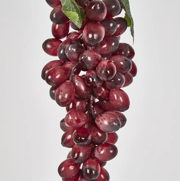 best-outdoor-furniture-Purple Black Grape Bunch with 85 Grapes