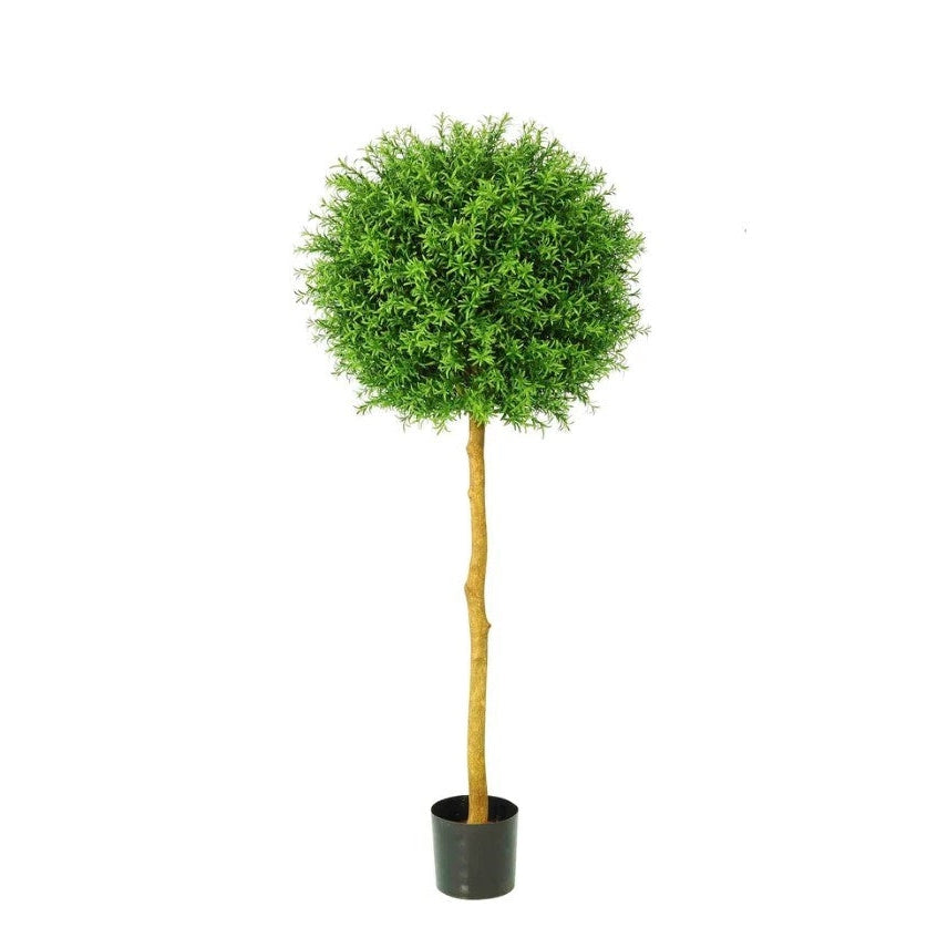 best-outdoor-furniture-Rosemary Ball Tree 1.45m