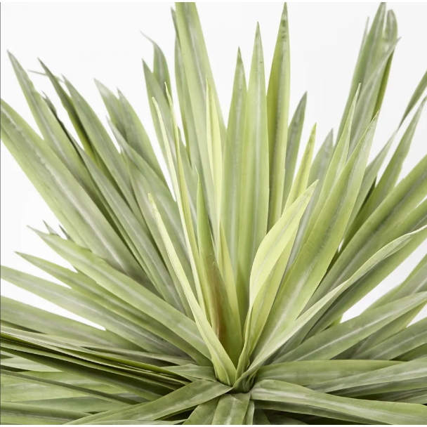 best-outdoor-furniture-Soft Touch Potted Sisal 68cm - Artificial Plant