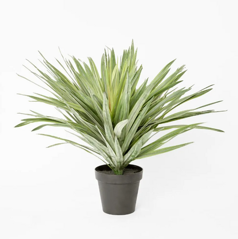 Soft Touch Potted Sisal 68cm - Artificial Plant