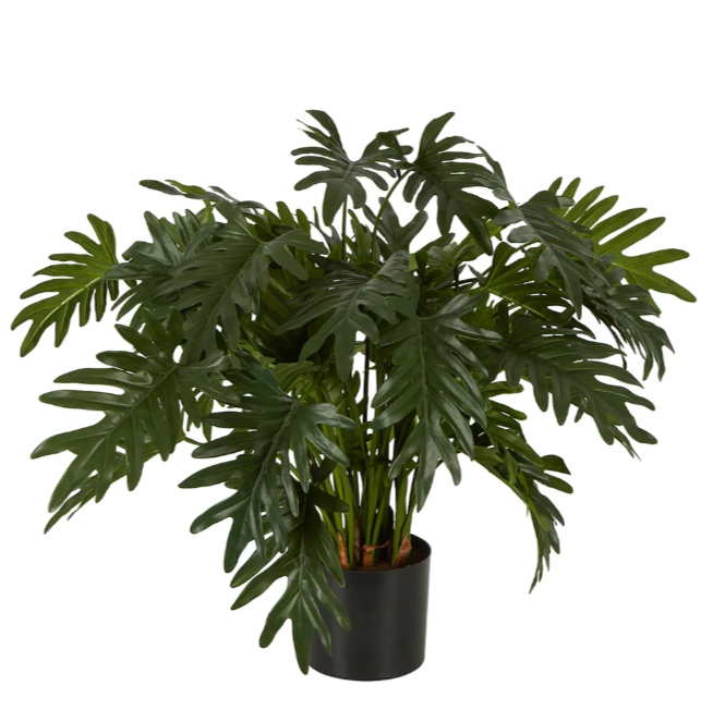 best-outdoor-furniture-Split Philo Potted Bush 75cm