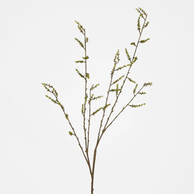 best-outdoor-furniture-Stachyurus Spray