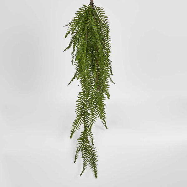 Sword Fern Hanging Bush