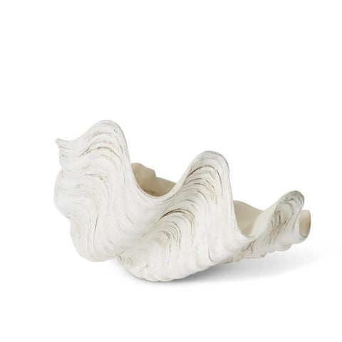 Clam Shell Sculpture - White 24 x 20 x 12cm