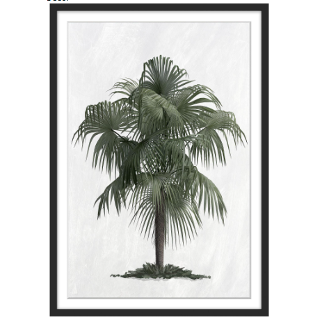 best-outdoor-furniture-Palm Cove Print 103 x 73cm