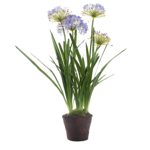 Agapanthus in Paper Pot Lavender - Artificial Plant