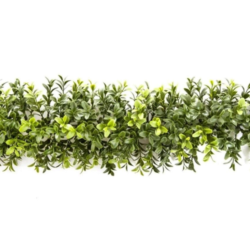 Boxwood Garland 1.8m