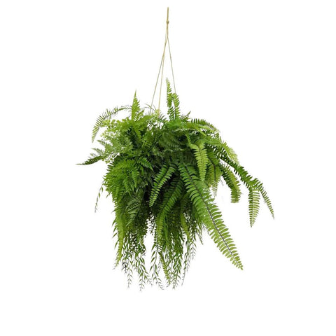 Fern Hanging - Artificial Plant (90cm)