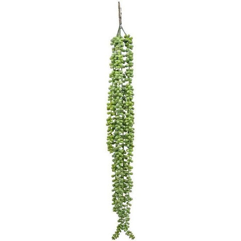 Hanging Ragworts Succulent Spray
