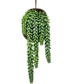 Hanging String of Pearl - Artificial Plant